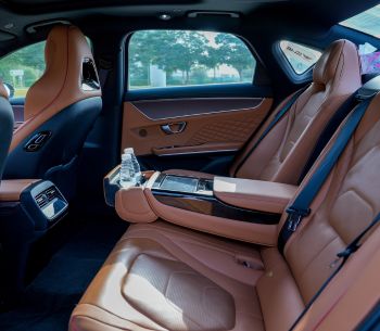BYD interior